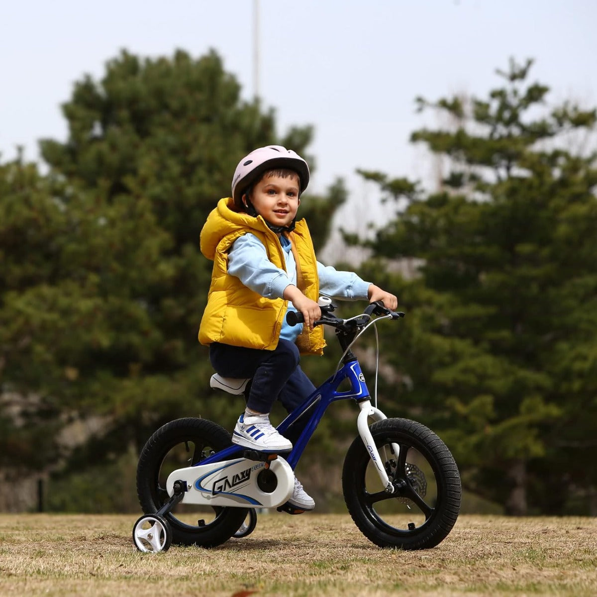 Buy Royalbaby Galaxyfleet 14in Blue Bicycle | Yallatoys.com