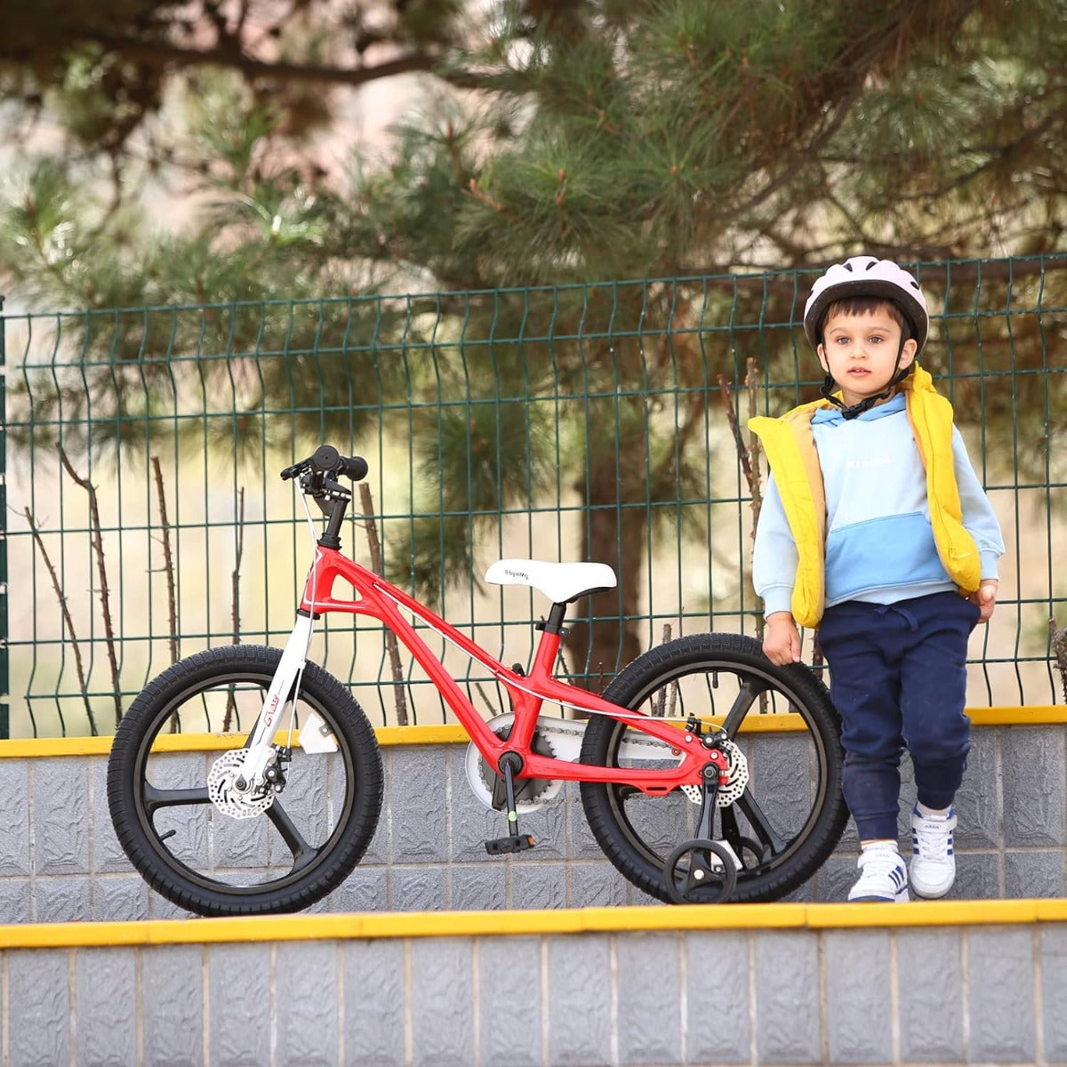 Buy Royalbaby Galaxyfleet 14in Red Bicycle | Yallatoys.com