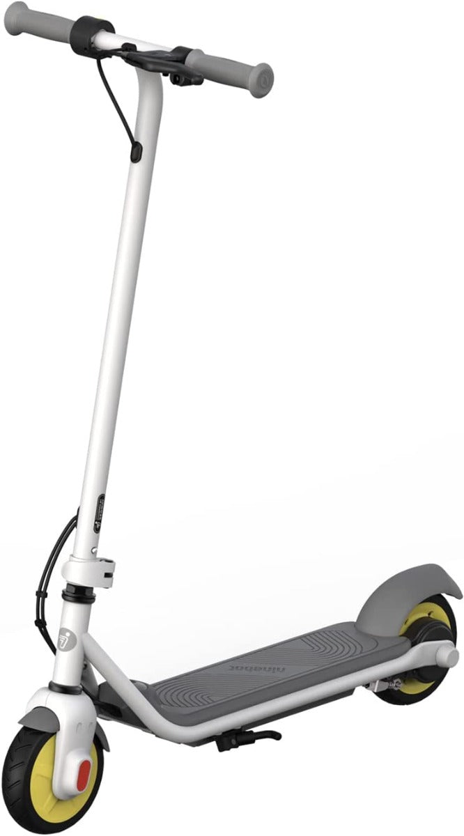 Buy Ninebot Electric Kick Scooter for Kids Zing C10 | Yallatoys.com