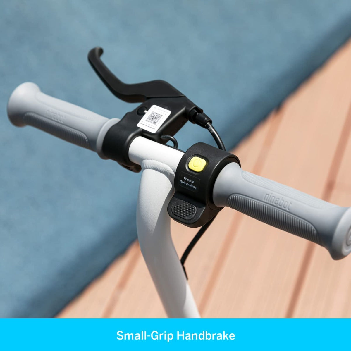 Buy Ninebot Electric Kick Scooter for Kids Zing C10 | Yallatoys.com