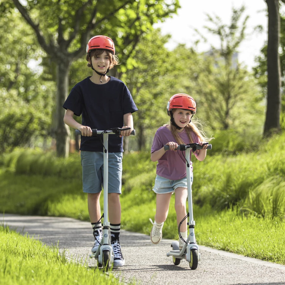 Buy Ninebot Electric Kick Scooter for Kids Zing C8 | Yallatoys.com