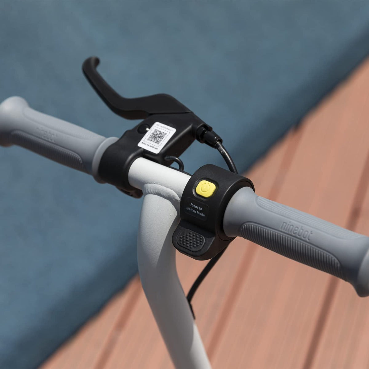 Buy Ninebot Electric Kick Scooter for Kids Zing C8 | Yallatoys.com