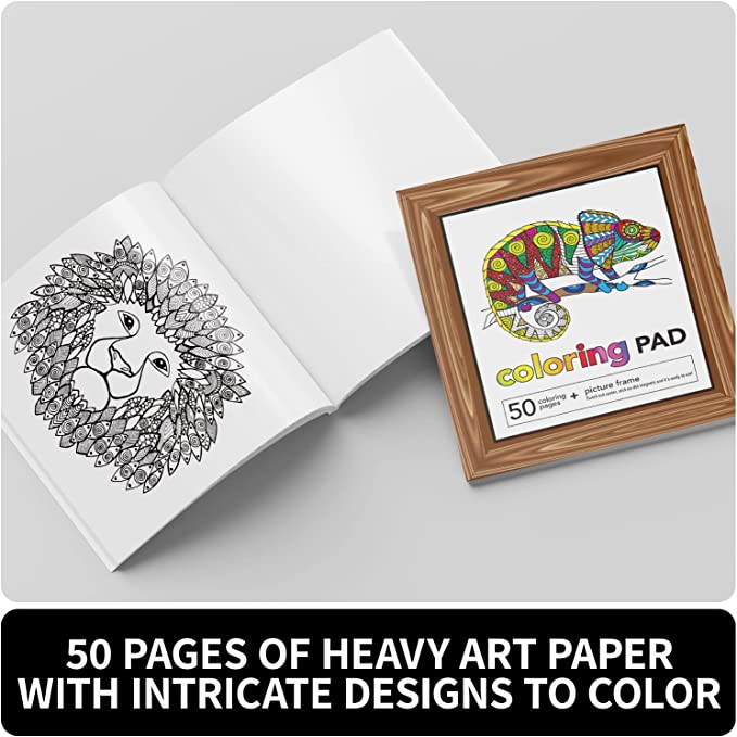 Buy Spice Box Creative Coloring Kit | Yallatoys.com
