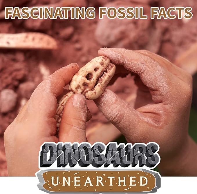 Buy Spice Box Science Lab Dinosaurs Unearthed Kit | Yallatoys.com