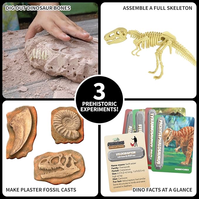 Buy Spice Box Science Lab Dinosaurs Unearthed Kit | Yallatoys.com