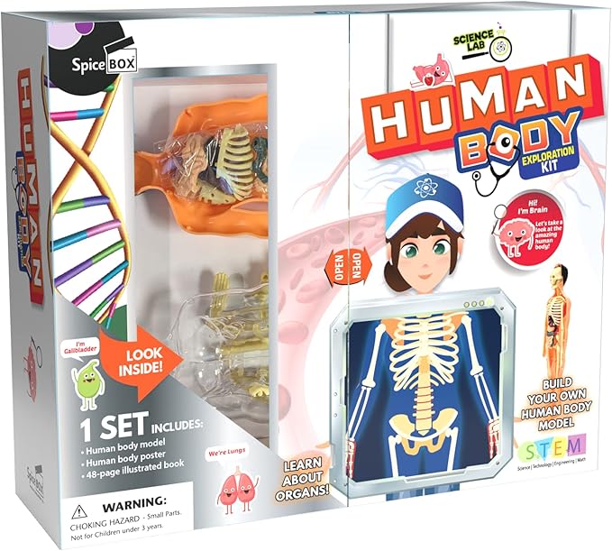 Buy Spice Box Science Lab Human Body Kit | Yallatoys.com