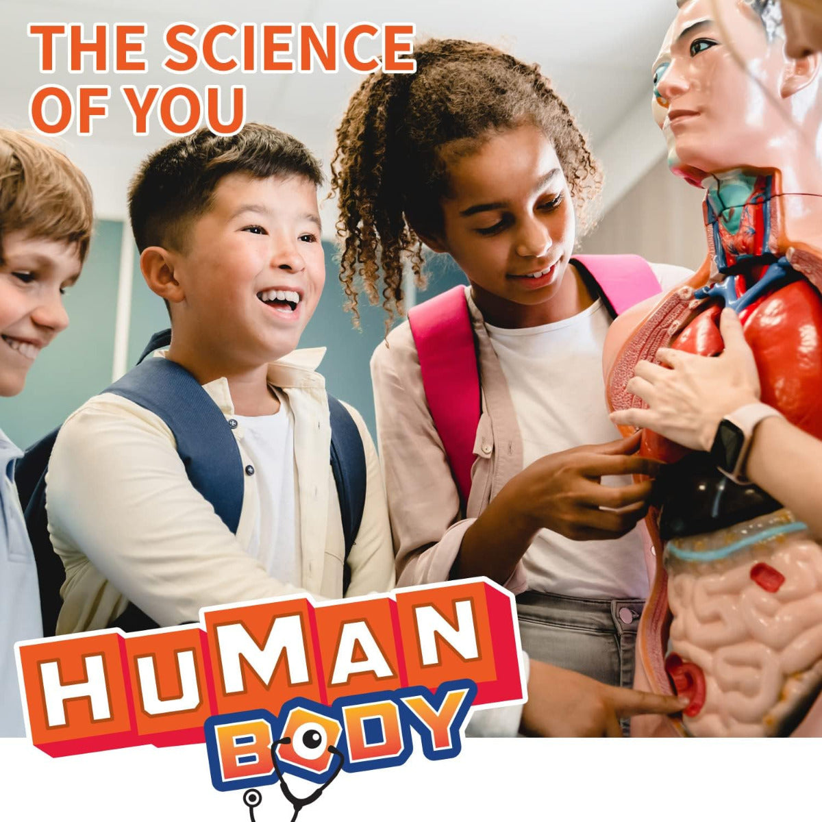 Buy Spice Box Science Lab Human Body Kit | Yallatoys.com