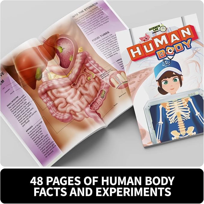 Buy Spice Box Science Lab Human Body Kit | Yallatoys.com