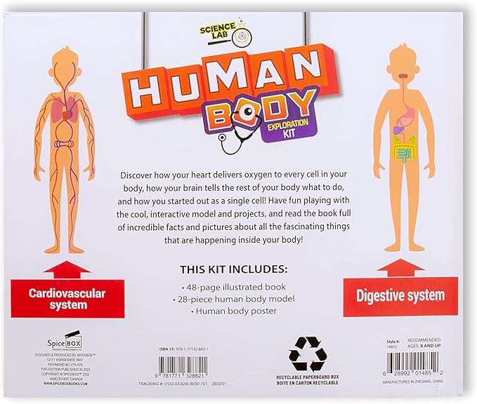 Buy Spice Box Science Lab Human Body Kit | Yallatoys.com