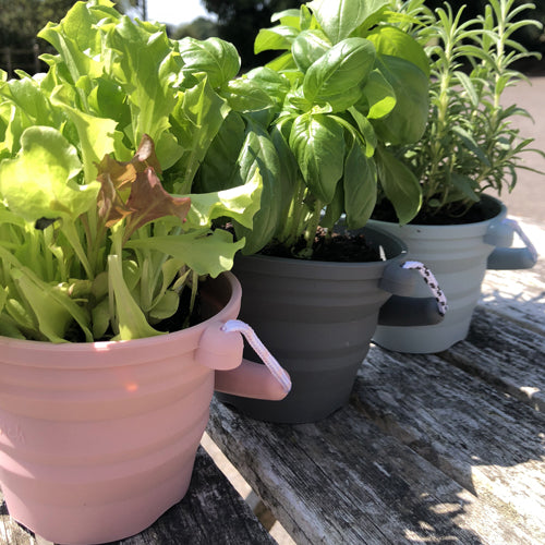 Buy Scrunch Seedling Pot with Trowel Duck Egg Blue | Yallatoys.com