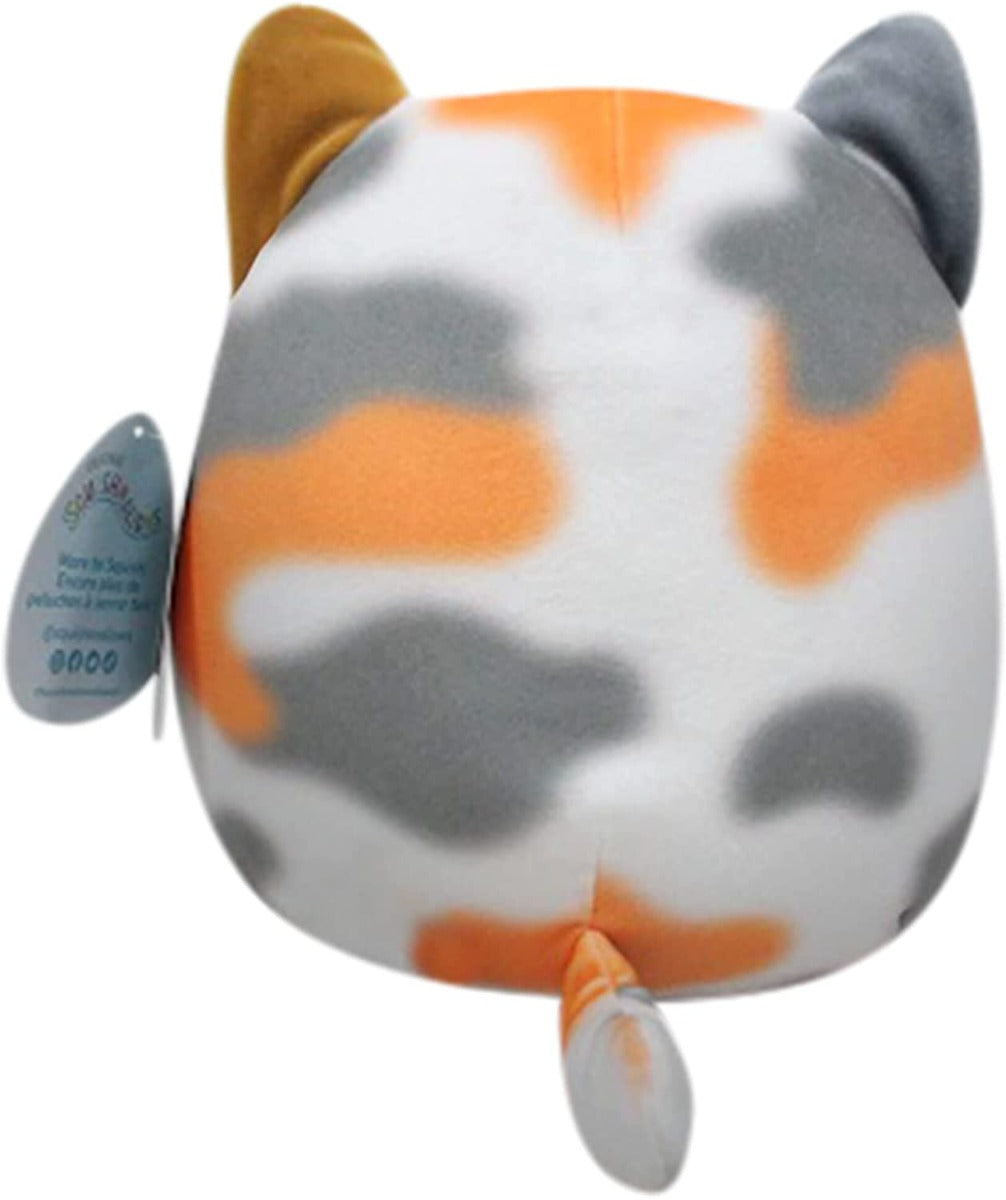 Buy Squishmallows 8inch Tortoiseshell Cat Little Ultrasoft Plush | Yallatoys.com