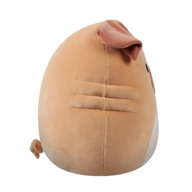 Buy Squishmallows Morton Shar Pei Medium Plush Toy 12Inch | Yallatoys.com
