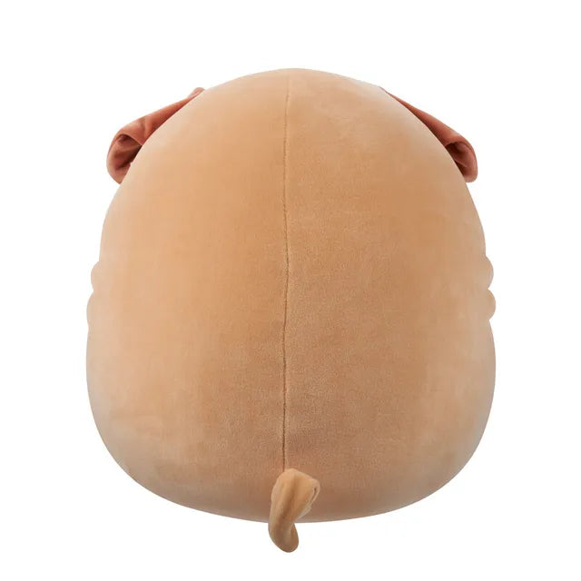 Buy Squishmallows Morton Shar Pei Medium Plush Toy 12Inch | Yallatoys.com