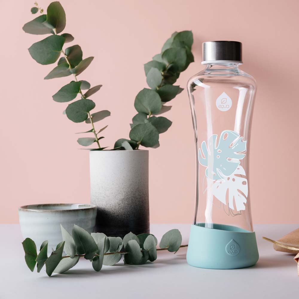 Buy Equa Urban Jungle Monstera 550 ml Glass Waterbottle | Yallatoys.com