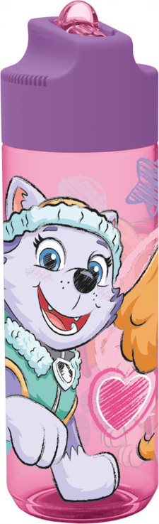 Buy Stor Large Ecozen Hydro Bottle Paw Patrol Girl Sketch Essence 540ml | Yallatoys.com
