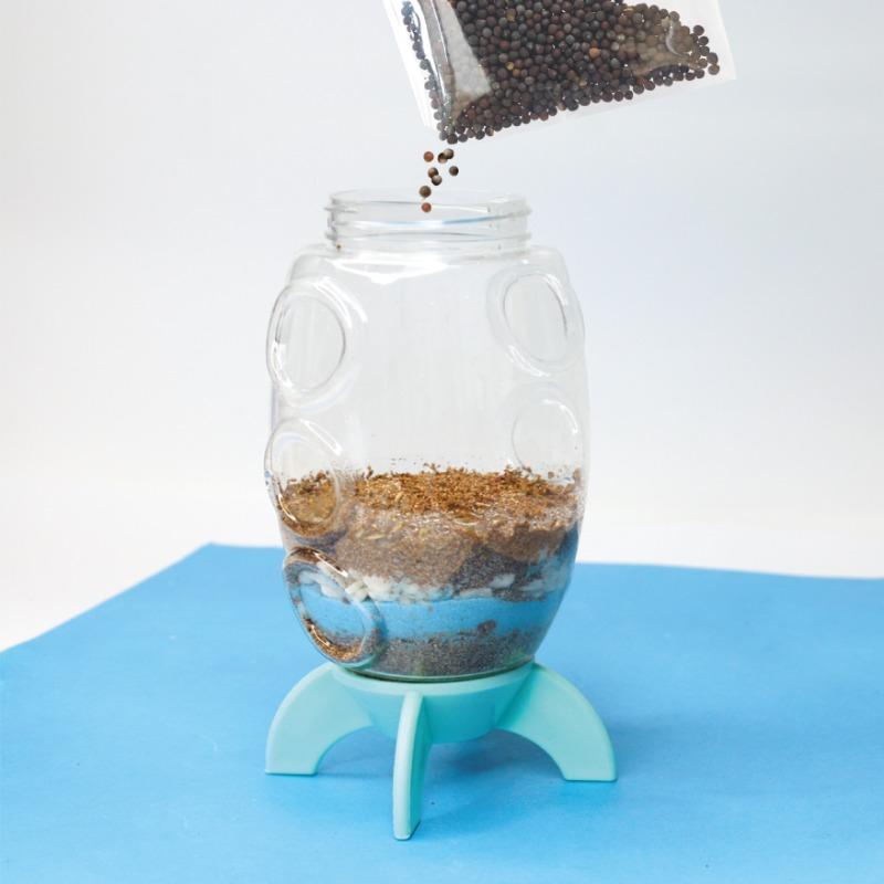Buy Sew Star Grow Your Own Plant Mini World Rocket | Yallatoys.com