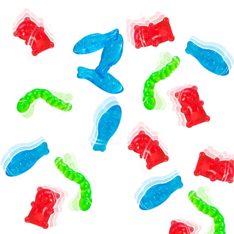 Buy Schylling Wally Crawlys Gummies | Yallatoys.com
