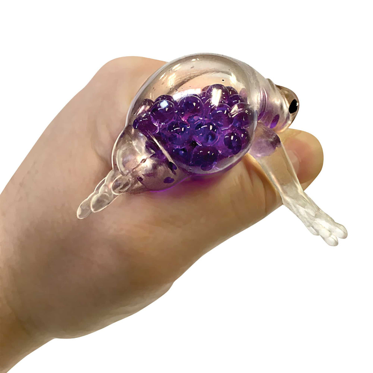 Buy Schylling Squish The Frog (Sold Separately Subjected To Availability) | Yallatoys.com