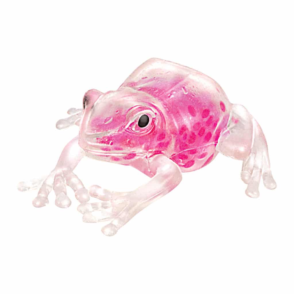 Buy Schylling Squish The Frog (Sold Separately Subjected To Availability) | Yallatoys.com