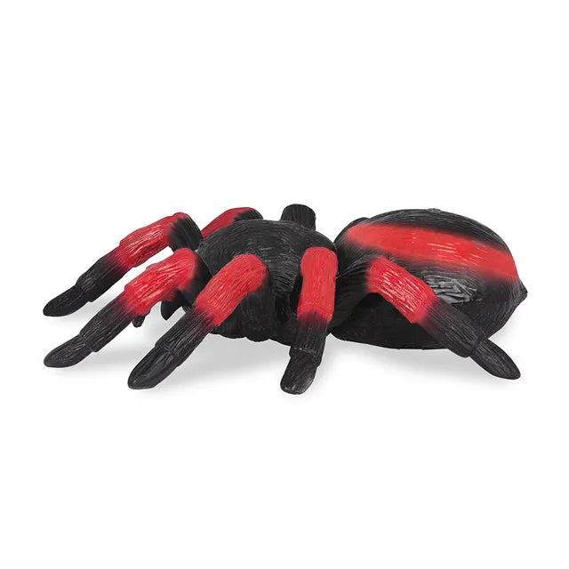Buy Terra Remote Control Spider (Red) | Yallatoys.com