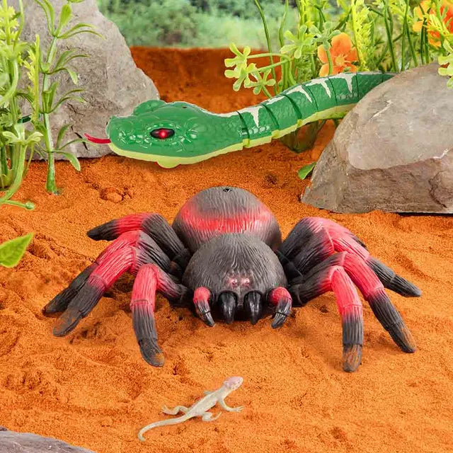 Buy Terra Remote Control Spider (Red) | Yallatoys.com