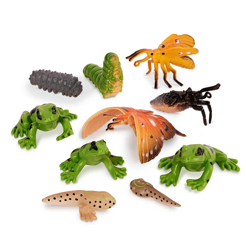Buy Terra 10 Pieces Metamorphosis Animals 4-8 CM | Yallatoys.com