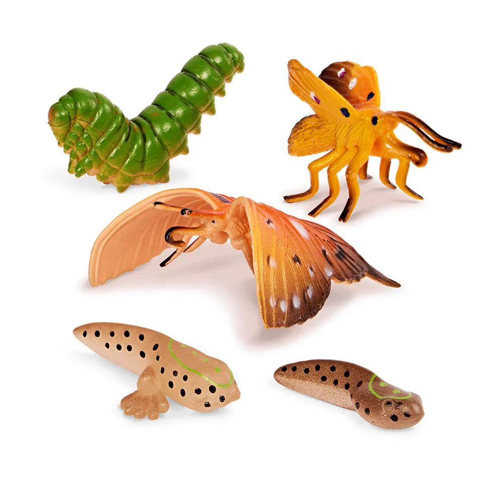 Buy Terra 10 Pieces Metamorphosis Animals 4-8 CM | Yallatoys.com