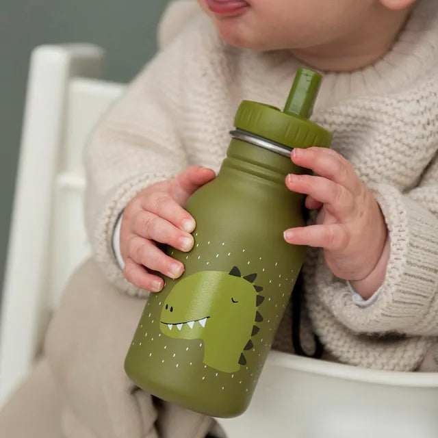 Buy Trixie Mr Dino Stainless Steel Bottle 350ml | Yallatoys.com