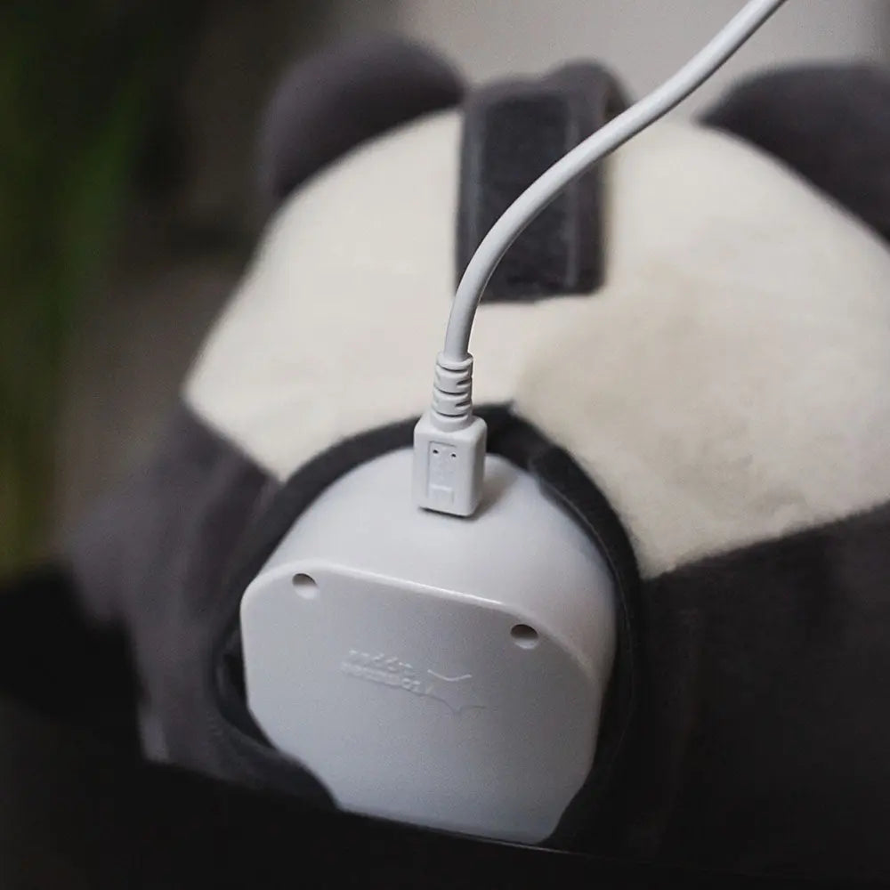 Tommee Tippee Bennie The Panda Light And Sound Sleep Aid Tommee Tippee Yallatoys