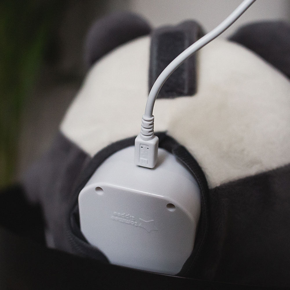 Buy Tommee Tippee Bennie The Panda Light And Sound Sleep Aid | Yallatoys.com