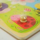 Buy Viga Big Wooden Knob Puzzle Insect | Yallatoys.com