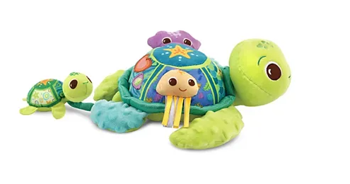 Buy VTech Soft Discovery Turtle | Yallatoys.com