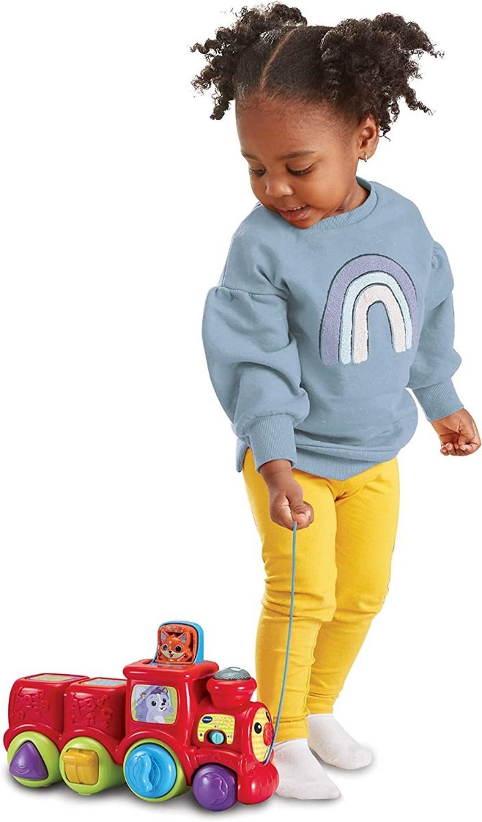 Buy VTech Pop & Sing Animal Train | Yallatoys.com