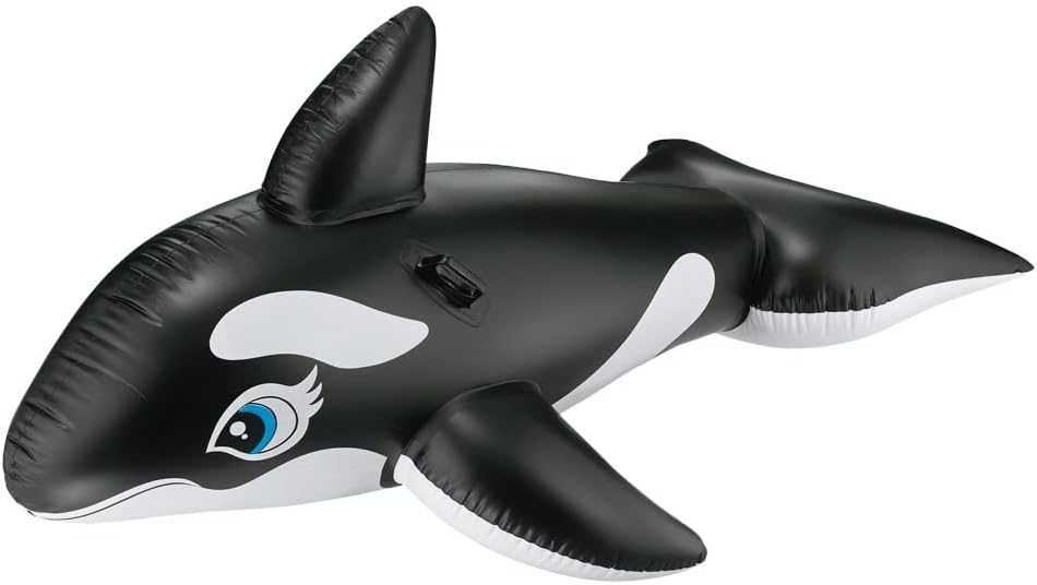 whale ride on