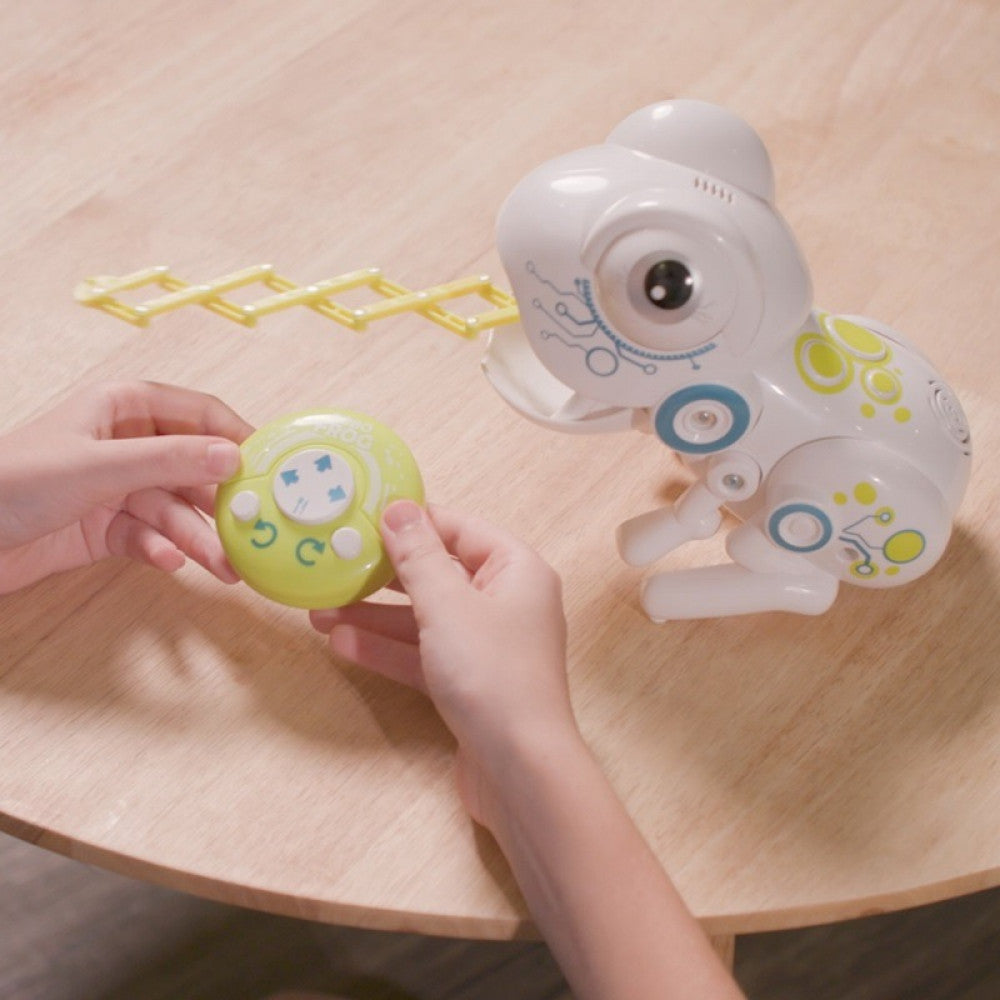 Buy Ycoo Robo Frog Remote Control | Yallatoys.com