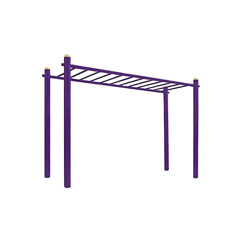 Buy Metal Monkey Bar for Kids | Yallatoys.com