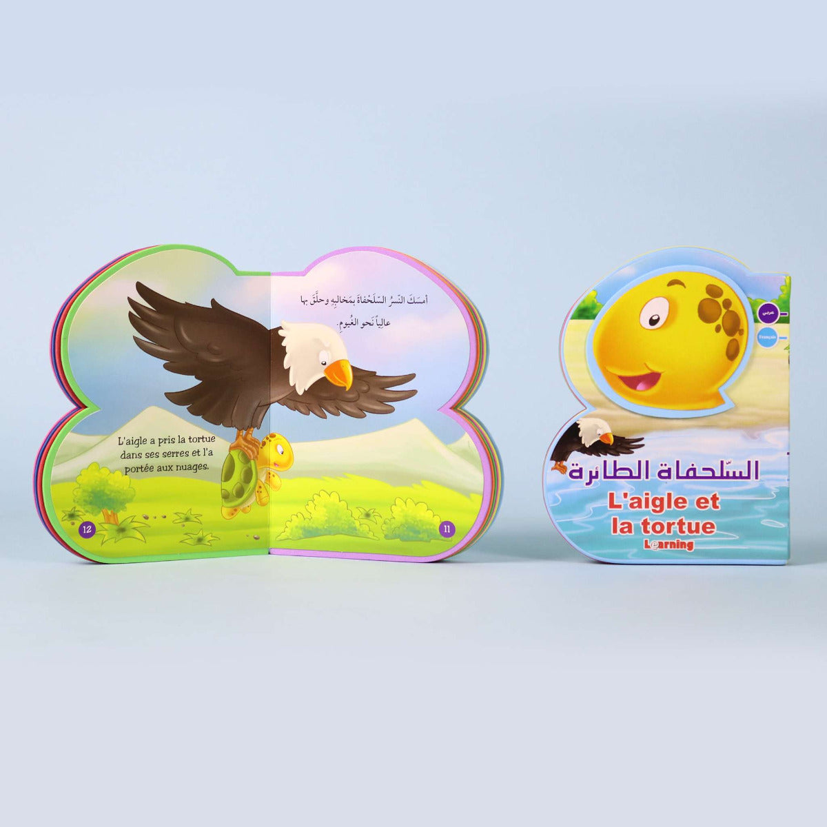 Buy Flying Turtle | Yallatoys.com