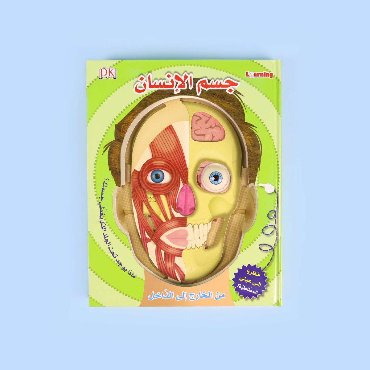 Buy The Book Of The Human Body From The Inside Out | Yallatoys.com