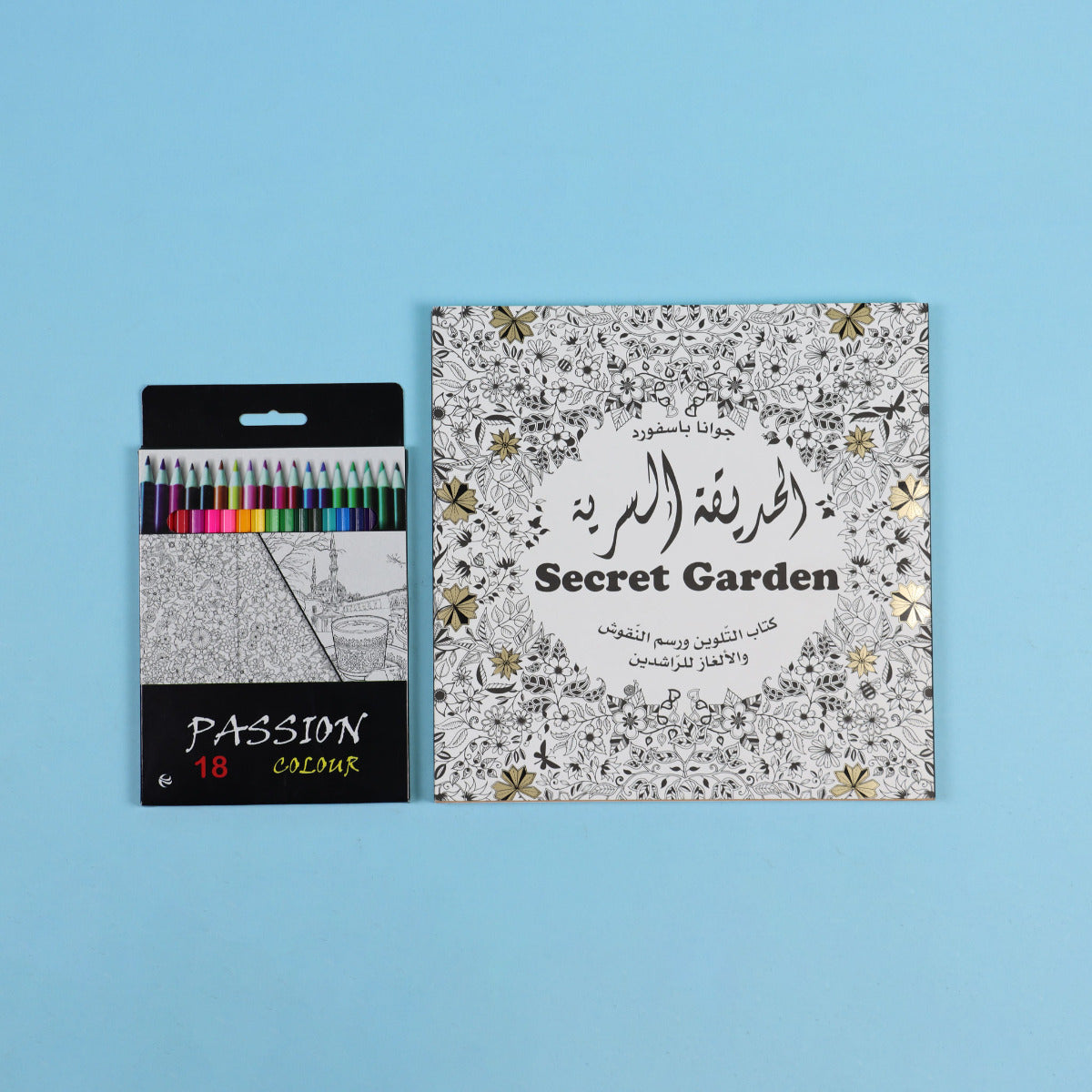 Buy Secret Garden Coloring Book And Drawing Inscriptions Fine Arts | Yallatoys.com