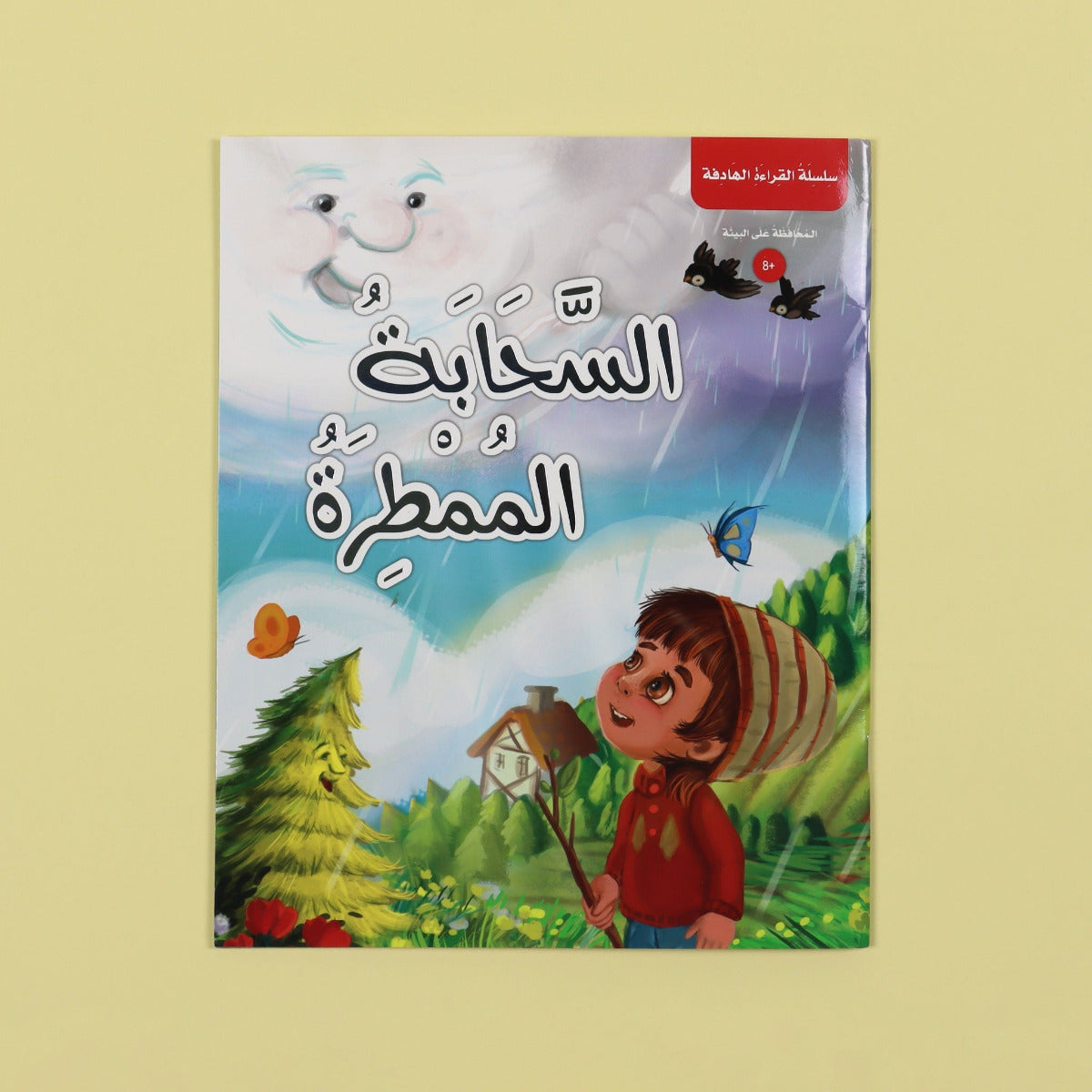Buy Purposeful Reading Series Rain Cloud | Yallatoys.com