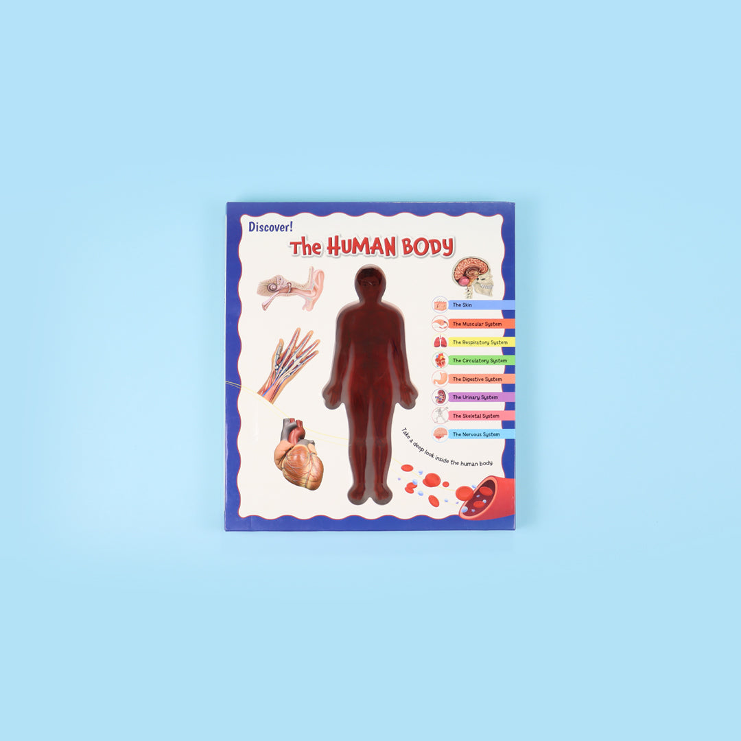 Buy Discover The Human Body English | Yallatoys.com