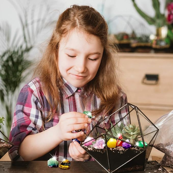 Buy Rocks Collection Kit | Yallatoys.com
