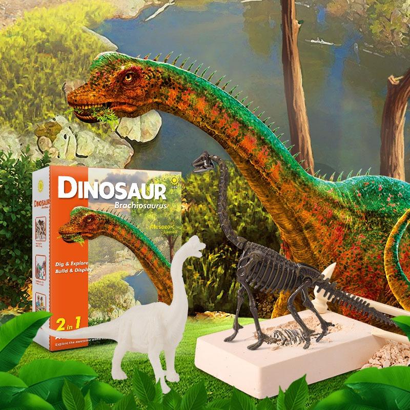 Buy Dinosaur Dig Excavation Kit Brachiosaurus | Yallatoys.com