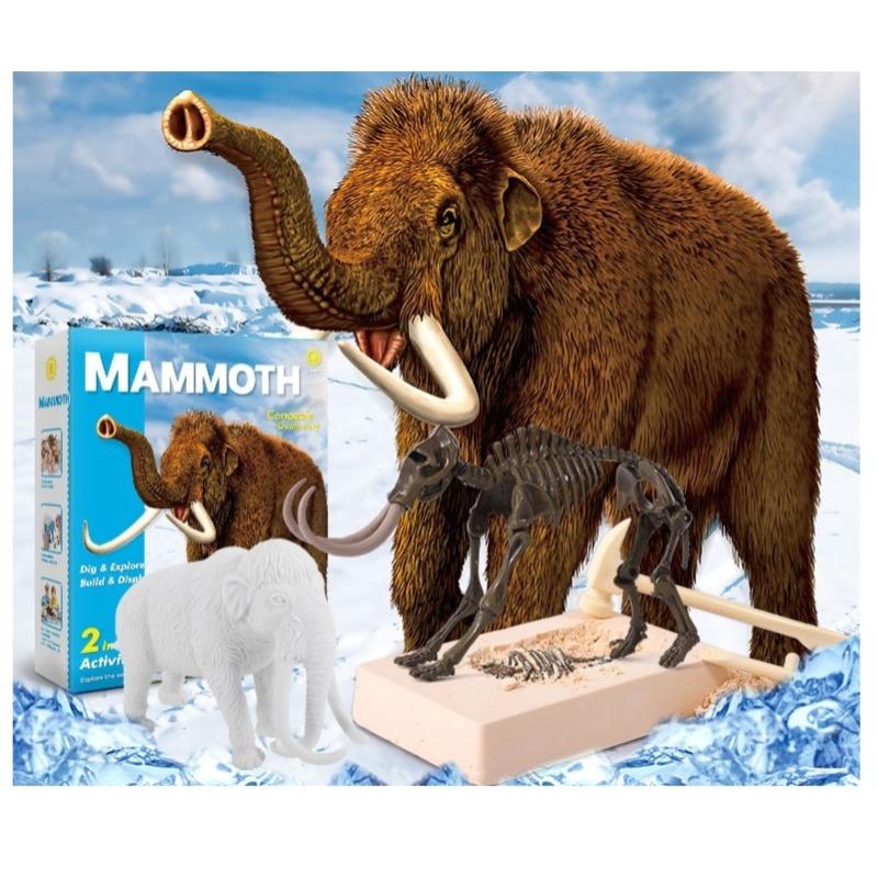 Buy Dinosaur Dig Excavation Kit Mammoths | Yallatoys.com