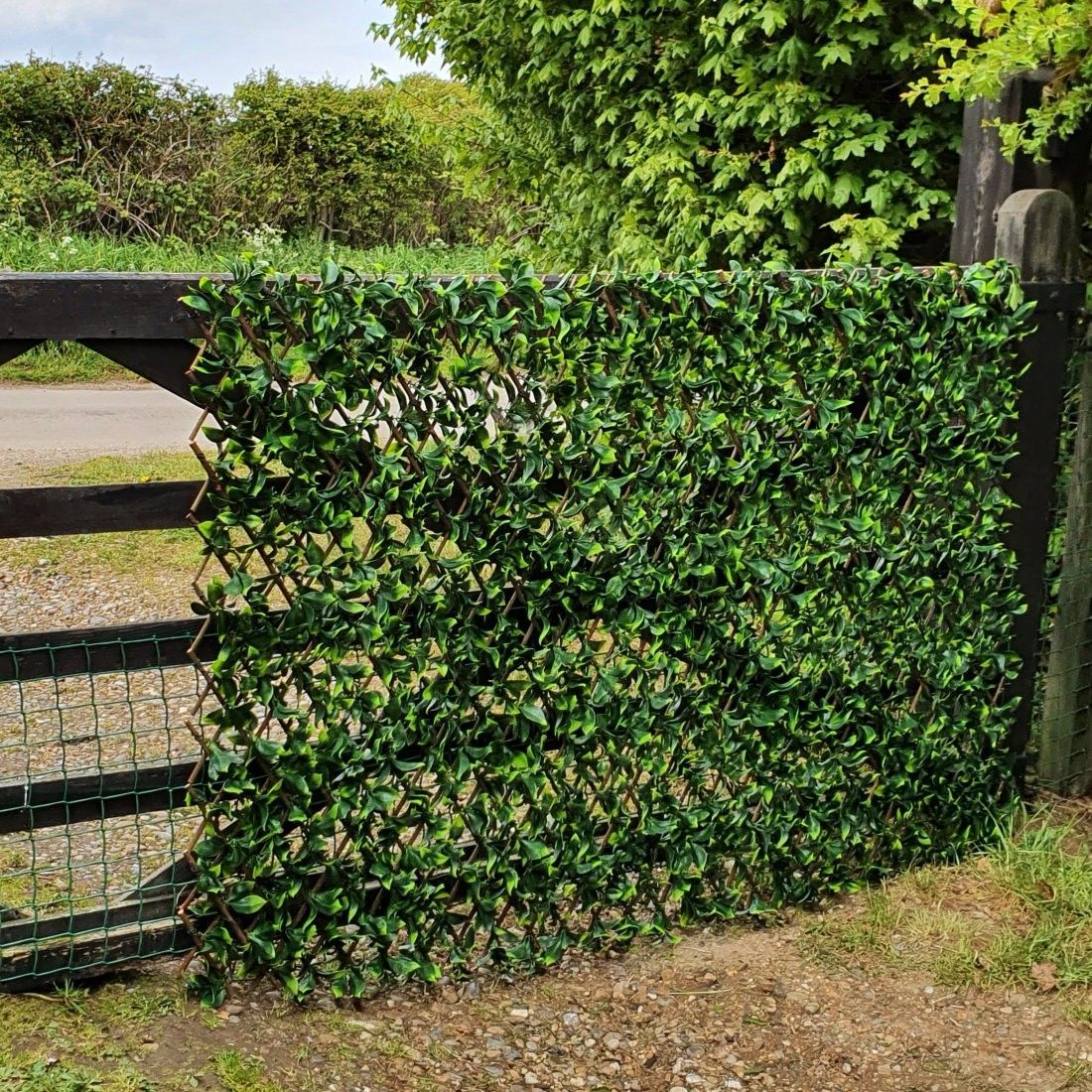 Buy Artificial Variegated Laurel Expanding Willow Trellis Fence | Yallatoys.com