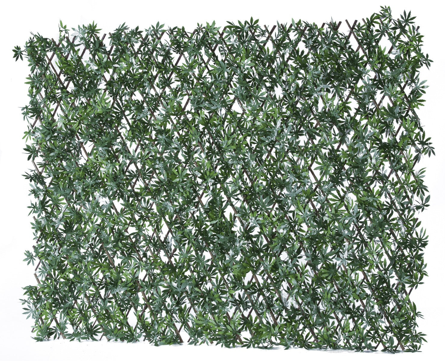Buy Artificial Variegated Laurel Expanding Willow Trellis Fence | Yallatoys.com