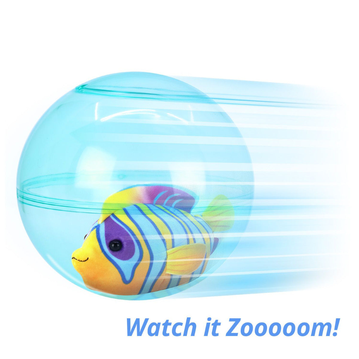 Buy Zhuzhu Aquarium Bubble Ball and Surfboard | Yallatoys.com