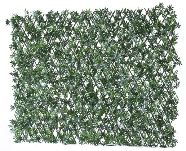 Buy Artificial Variegated Laurel Expanding Willow Trellis Fence | Yallatoys.com